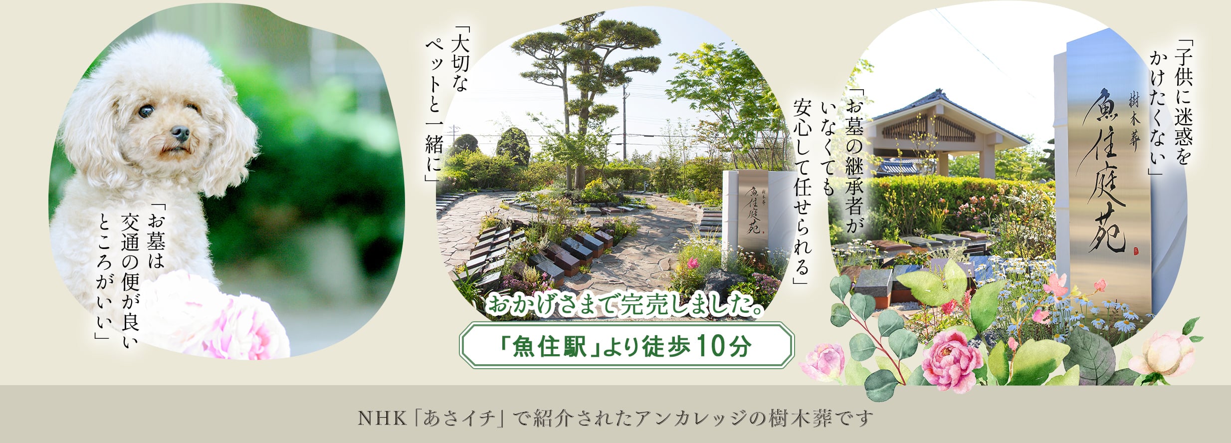 おかげさまで完売しました。魚住駅より徒歩10分　NHKあさイチで紹介されたアンカレッジの樹木葬です。